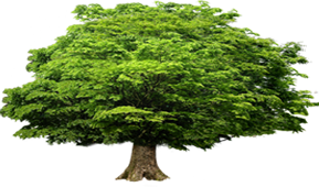 污水處理設(shè)備篇：一體化污水處理設(shè)備的優(yōu)勢(shì)和 一體化設(shè)備運(yùn)維及故障檢查